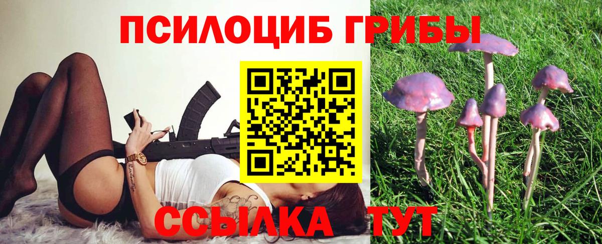 Искитим  Псилоцибиновые грибы мухоморы  Галлюциногенные грибы мицелий  Вход с VPN 